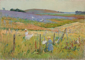 De Vlindervangers, 1900-8